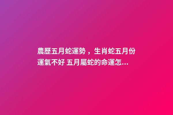農歷五月蛇運勢，生肖蛇五月份運氣不好 五月屬蛇的命運怎么樣，農歷5月26日生人屬蛇命運怎樣-第1張-觀點-玄機派